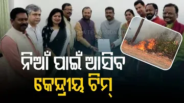 ଜଙ୍ଗଲ ନିଆଁର ସ୍ଥିତି ଅନୁଧ୍ୟାନ କରିବ କେନ୍ଦ୍ରୀୟ ଟିମ