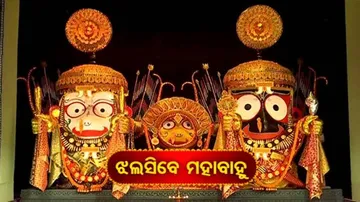 ଶ୍ରୀମନ୍ଦିରରେ ବିରଳ ଇତିହାସ ହୋଇ ରହିଯିବ ଏଥରର ଦୁର୍ଲଭ ନାଗାର୍ଜୁନ ବେଶ