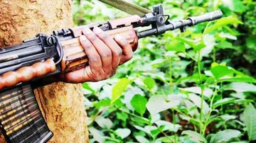 Maoists Kill  Villagers 
