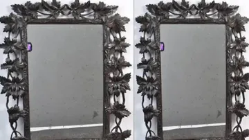 ବାଥରୁମ୍‌ରେ ଲାଗିଥିଲା ଫ୍ରାନ୍ସ ରାଣୀଙ୍କ ଦର୍ପଣ, ମୂଲ୍ୟ ଜାଣି ପରିବାର ଲୋକେ ଆଶ୍ଚର୍ଯ୍ୟ