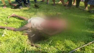 ବୃଦ୍ଧଙ୍କୁ ଦଳିଦେଲା ହାତୀ