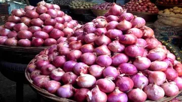 କମିବାର ନାଁ ନେଉନି ପିଆଜ ଦର