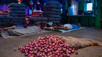 ମାତିଛନ୍ତି ପିଆଜ ଚୋର