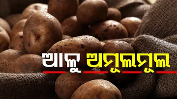 Potato Supply Stops To Odisha From West Bengal, Price Increase 