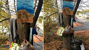 ଫ୍ରି ଟ୍ରି: ଯେଉଁଠି ଗରିବଙ୍କ ପାଇଁ ଲୋକମାନେ ଛାଡିଯାଆନ୍ତି ଦରକାରୀ ଜିନିଷ