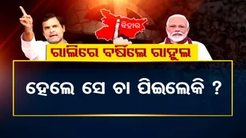 ବିହାର ଇଲେକ୍ସନ ପ୍ରଚାର; କାହାକୁ ଜଙ୍ଗଲ୍ ରାଜ୍‌ର ଯୁବରାଜ କହିଲେ ମୋଦି ?