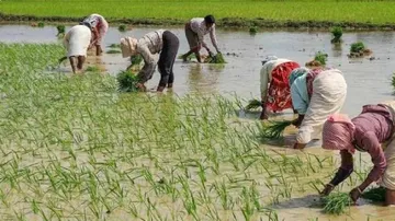 ପଞ୍ଜାବ ମୁଖ୍ୟମନ୍ତ୍ରୀଙ୍କ ବଡ଼ ଘୋଷଣା : ୨.୮୫ ଲକ୍ଷ କୃଷି ଶ୍ରମିକ ଓ ଭୂମିହୀନ ଚାଷୀଙ୍କ ଋଣ ଛାଡ କରିବେ ସରକାର