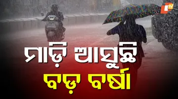 rain