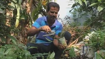 ରାୟଗଡାର ଟ୍ରି-ମ୍ୟାନ୍‌ : ୨୦ ବର୍ଷରେ ୧୦ହଜାରରୁ ଅଧିକ ଗଛ ଲଗାଇଛନ୍ତି ଗୋପୀନାଥ ଚୌଧୁରୀ