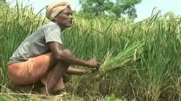 Rainfall Lkely From May 10 Due To Impact Of Cyclone