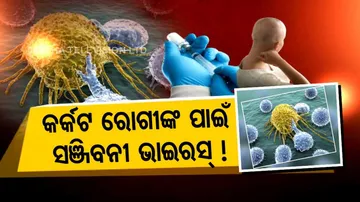 For The First Time  Cancer Killing Virus Oncolytic Gets Human Trial