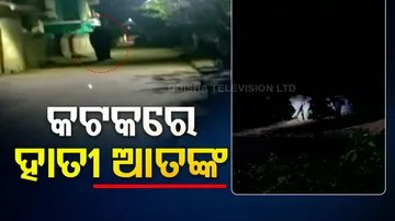 Elephant Attack in Cuttack