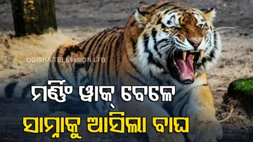 Maharashtra Youth Dies Of Heart Attack