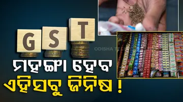 GST Council Metting Tax Levy On These Iteams