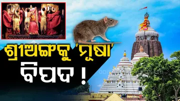 Rodent, Cockroach Menace In Puri Srimandir, Devotees Express Discontent