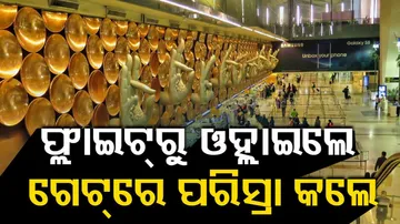 Man Pees At Delhi Airport Departure Gate