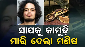 Man Bites Off Pet Snake's Head