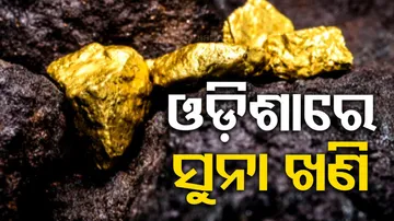 Gold Mines Found In Three Districts Of Odisha 