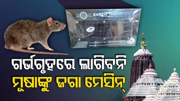 Threat To Idols At Puri Jagannath Temple Due To Rodent 