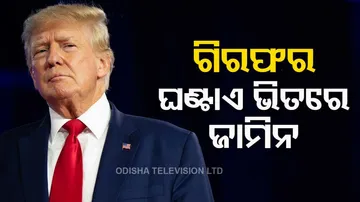 Donald Trump Gets Bail