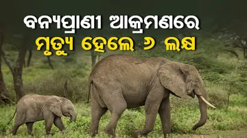 Odisha Govt Compension Plan