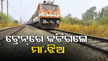 Mother And Daughter Die After Being Hit By Train