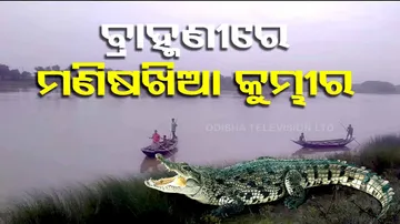 3 person allegedly dragged into water by crocodile in Kendrapara within 16 days