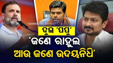 Tamil Nadu BJP President Criticised Udhayanidhi Stalin 