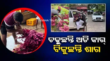 Farmer Takes An Audi To Sell Vegetables At Roadside Market 
