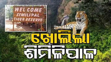 similipal opens for visitors from today