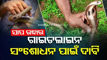 Demands for issue new Guidelines Rescue and Release of Snakes