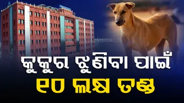Orissa HC directs to pay Rs 10 lakh compensation to family of a child killed in dog bite 