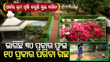 ପାର୍କର ଭ୍ରମ ସୃଷ୍ଟି କରୁଛି ସ୍କୁଲ୍‌ ବଗିଚା