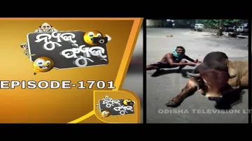 News Fuse 13 July 2020 | ଷଣ୍ଢ ପିଠିରେ ଷଣ୍ଢ | କୁକୁର ଦେଲା ପାନେ | ଯଜ୍ଞ କରି ଜେଲ