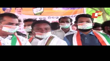 Birthday Celebration Of Rahul Gandhi- News Fuse