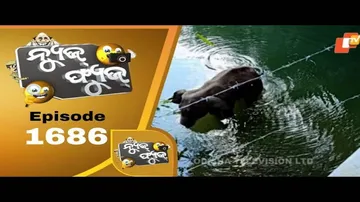 News Fuse 05 June 2020 | ଛି, ଛି  ରେ  ମଣିଷ ......