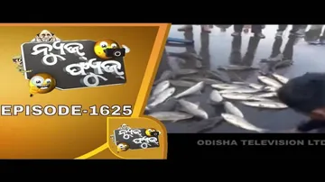 News Fuse 13 Jan 2020 | ମଝି ରାସ୍ତାରେ ଜିଅନ୍ତା ମାଛ | କେମିତି ଥିଲା ଭାରତ ବନ୍ଦ | ରସିକିଆ କଣ୍ଡକ୍ଟର