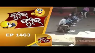 News Fuse 17 Dec 2018 | Delhiରେ ଜମିଛି ସାଙ୍ଗଙ୍କ ଗାମାତ | ବିଚିତ୍ର ଦୃଶ୍ୟ | ଖାଇବା ଚୋରି | ବିକଳ ଲୋକ