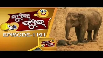 News Fuse 13 March 2017