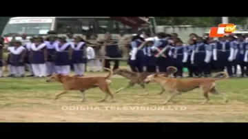 News Fuse 22 August 2016