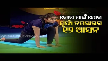 Roga Pain Yoga | Know 12 Stages Of Surya Namaskar