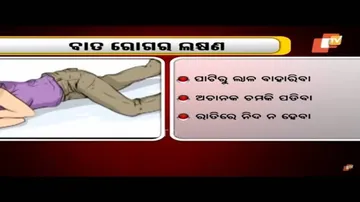 ବାତ ରୋଗର ଲକ୍ଷଣ, କାରଣ ଏବଂ ଚିକିତ୍ସା ବିଷୟରେ ଜାଣନ୍ତୁ