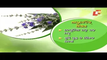 Doctor Doctor | Sciatica: Symptoms, Causes & Treatments | ସିଆଟିକା ରୋଗର ନିରାକରଣ