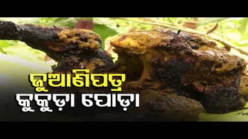 Taste Of Odisha - Recipe Of Juanipatra Kukuda Poda (Chicken Recipe)