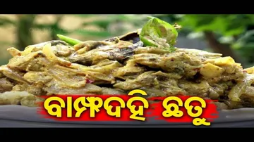 Taste Of Odisha | Delicious Mushroom Recipe