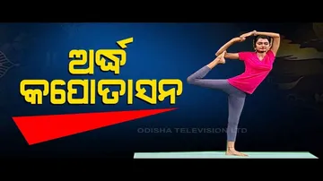 Roga Pain Yoga | Yoga Positions To Strengthen Knees