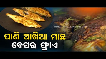 Taste Of Odisha | How To Prepare Besar Fry Of Paniakhia Fish