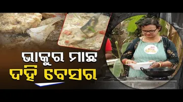 Taste Of Odisha- Bhakura Machcha Dahi Besara | Know How To Prepare Special Dish With Catla Fish