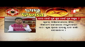 Vastu tips for Planting Trees at Home