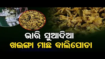 Taste Of Odisha | Know the recipe of Khaenga Macha Balipoda